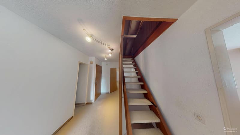 4.5-Zimmer-Wohnung mit Cheminée in Winterthur kaufen (7)