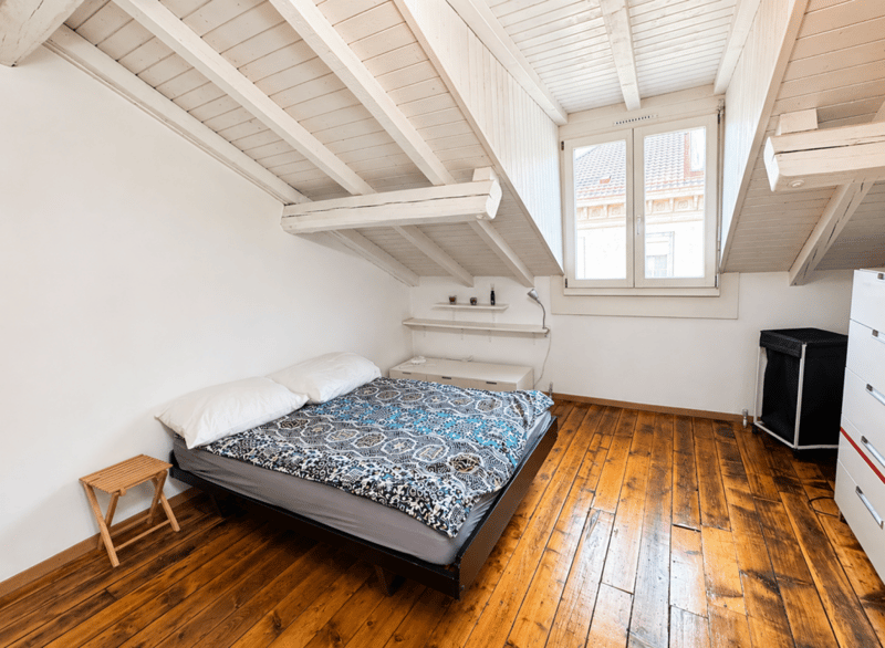Appartement meublé de 4 pièces à louer sous les toîts - Genève (3)