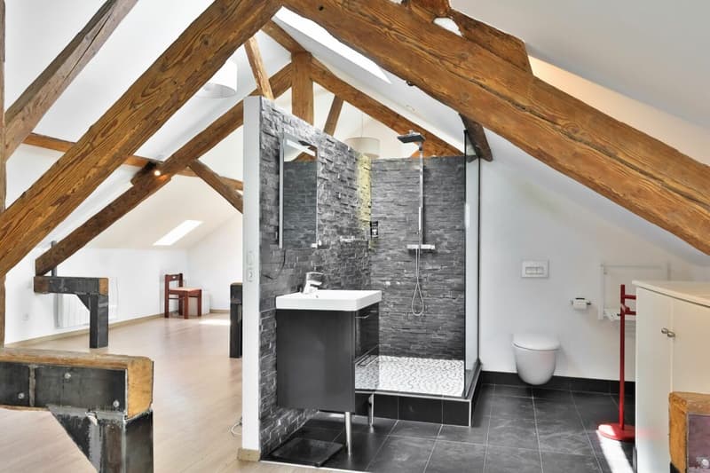 Duplex de charme entre nature et sérénité - Hameau de Monniaz avec grand jardin privatif (9)