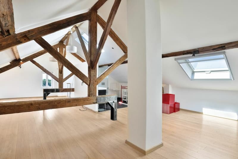 Duplex de charme entre nature et sérénité - Hameau de Monniaz avec grand jardin privatif (8)