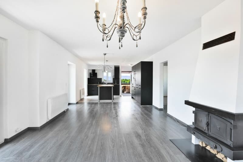 Duplex de charme entre nature et sérénité - Hameau de Monniaz avec grand jardin privatif (5)