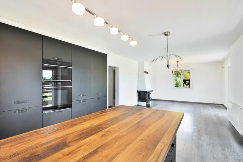 Duplex de charme entre nature et sérénité - Hameau de Monniaz avec grand jardin privatif (3)
