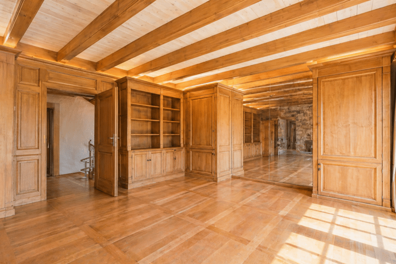 Demeure historique de caractère proche de Genève - 770 m2 (11)