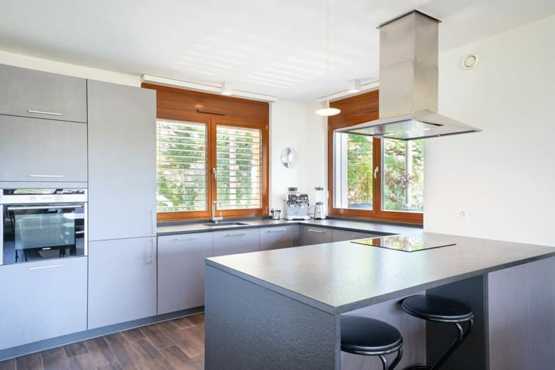Appartement d'exception avec terrasse panoramique et vue sur le Jura à Presinge (3)