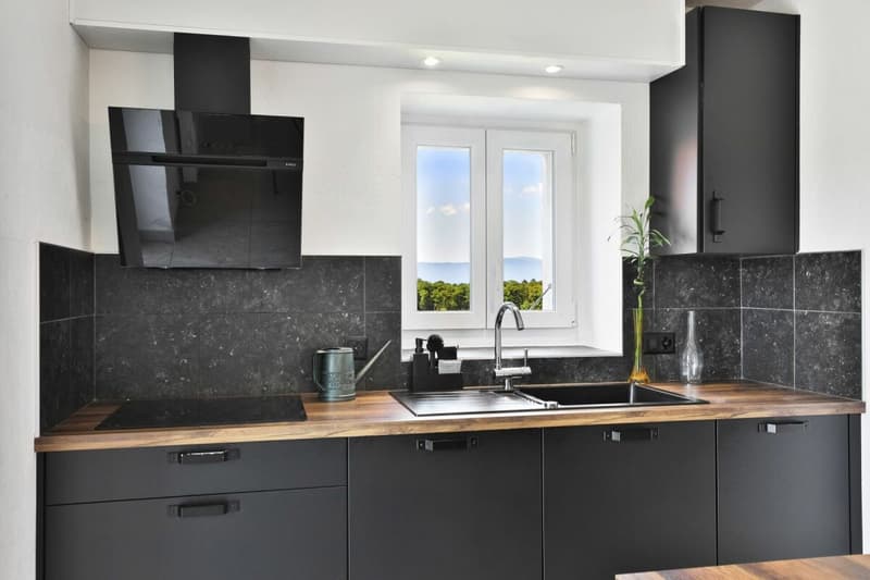 Duplex de charme entre nature et sérénité - Hameau de Monniaz avec grand jardin privatif (3)