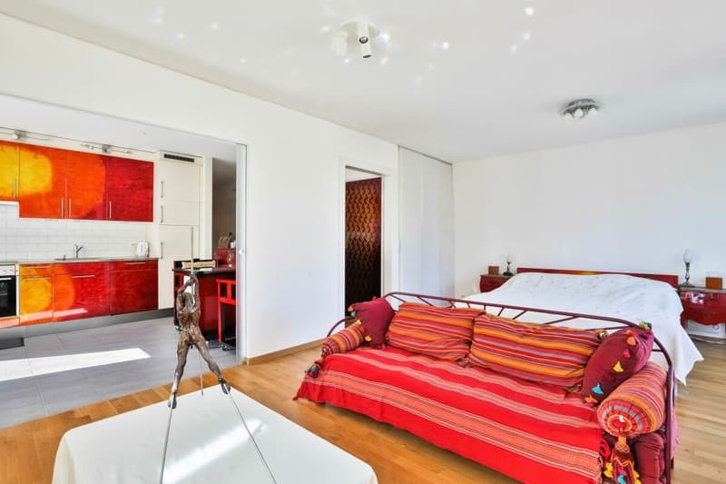 Appartement rare à vendre à Carouge - Emplacement exceptionnel, prestations haut de gamme (6)