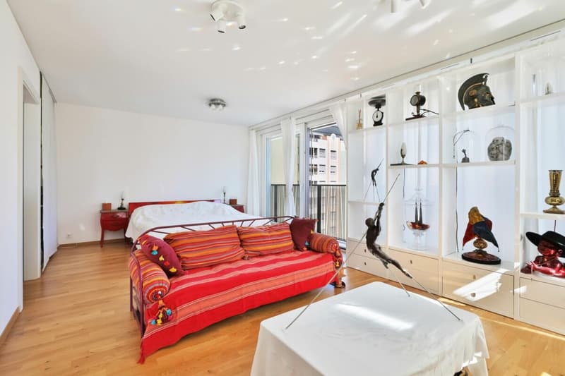 Appartement lumineux à Carouge - Beaux volumes, élégance contemporaine et cadre privilégié (3)