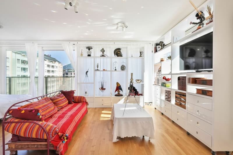 Appartement lumineux à Carouge - Beaux volumes, élégance contemporaine et cadre privilégié (1)