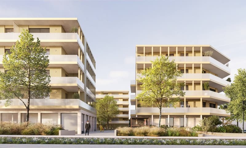 Prächtiger neuer Gewerberaum in Bulle (1)