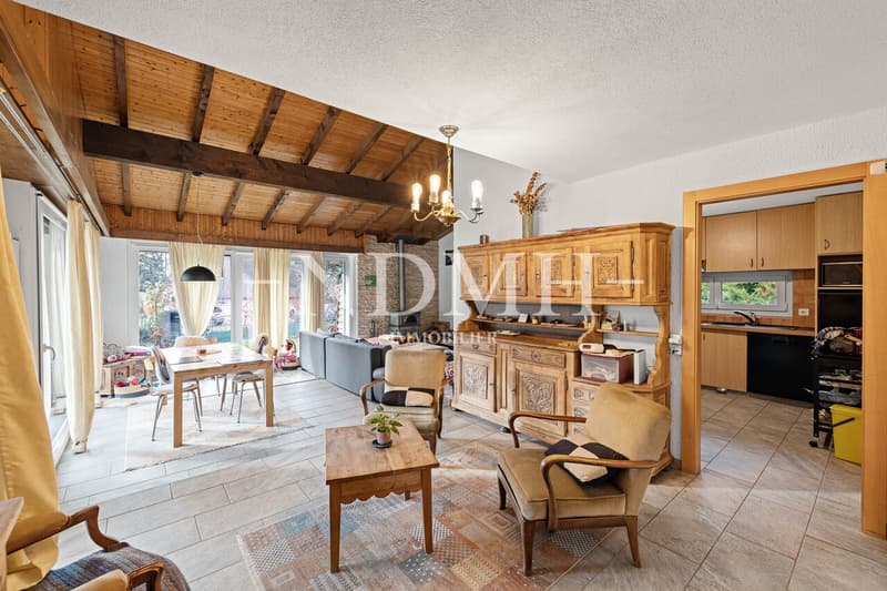 Spacious villa with two apartments (3)