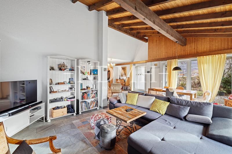 Spacious villa with two apartments (2)
