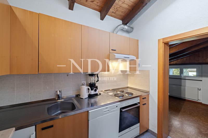 Spacious villa with two apartments (10)