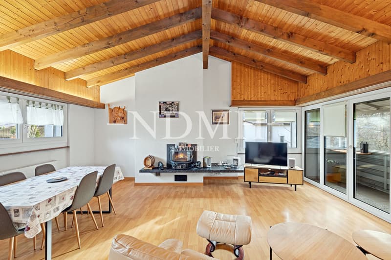 Spacious villa with two apartments (8)