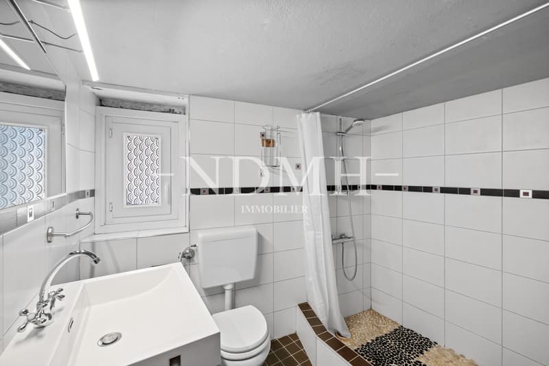 3-room apartment with atypical charm (8)