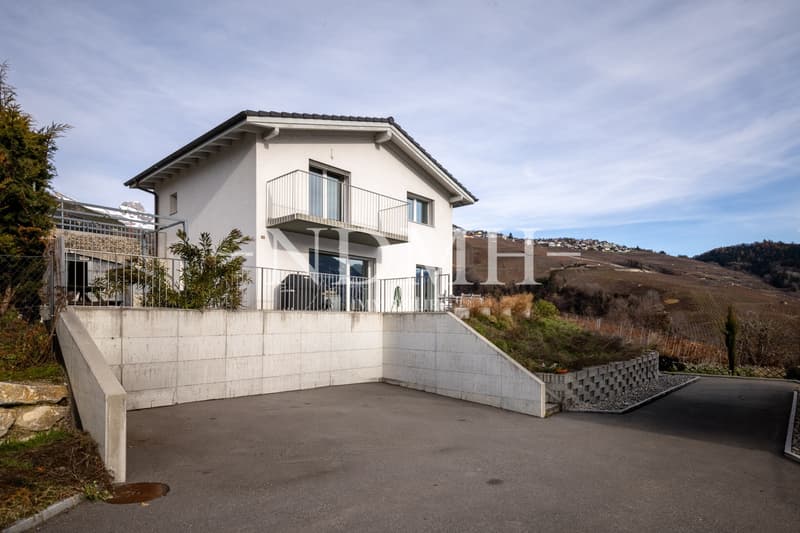Spacious individual villa with large garden (9)