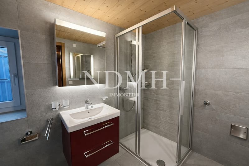 Spacious 4.5-room apartment in the heart of the village (7)