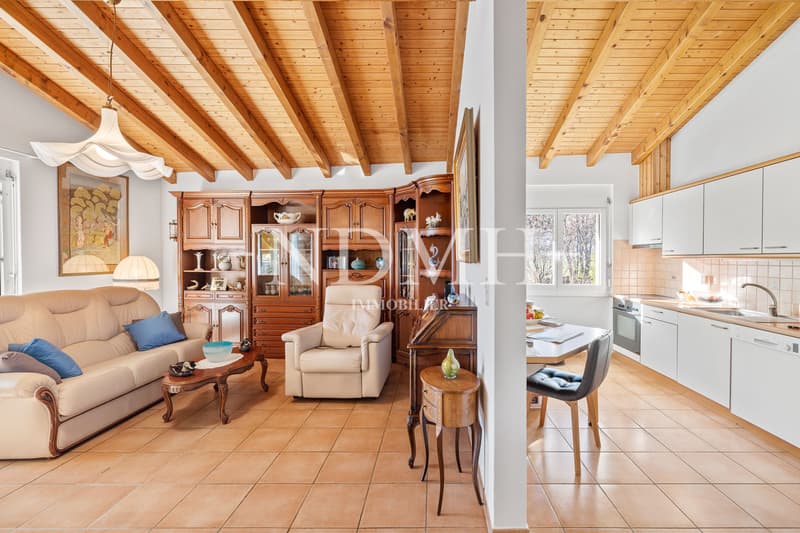 Large villa with two independent apartments (3)