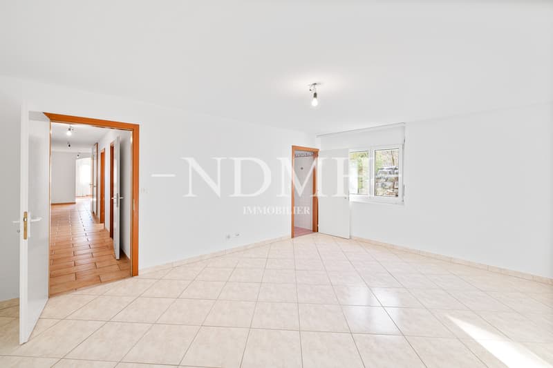 Large villa with two independent apartments (7)