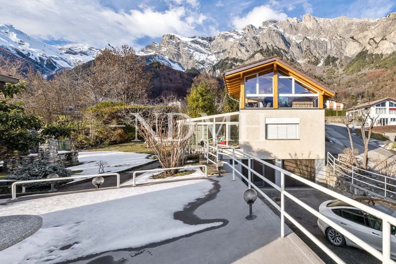 Large villa with two independent apartments (11)