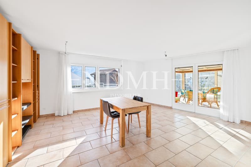 Large villa with two independent apartments (4)