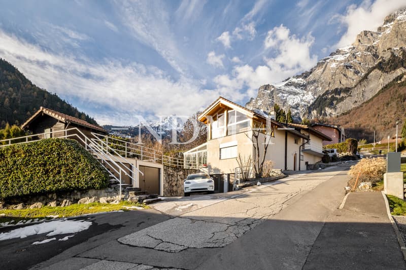 Large villa with two independent apartments (10)