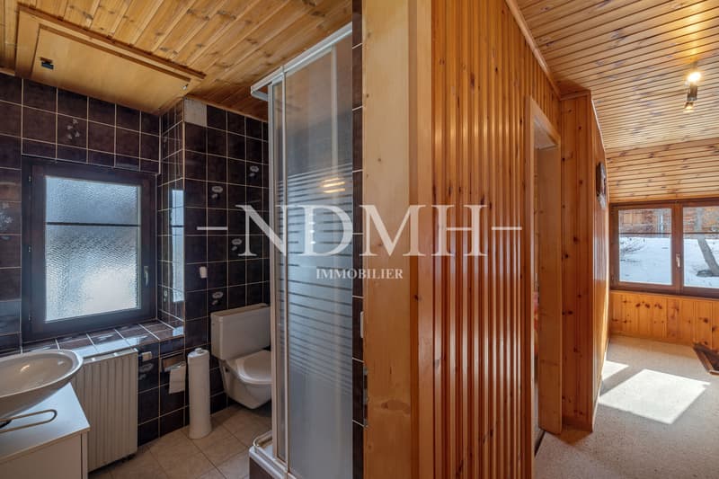 Character chalet with panoramic views (11)