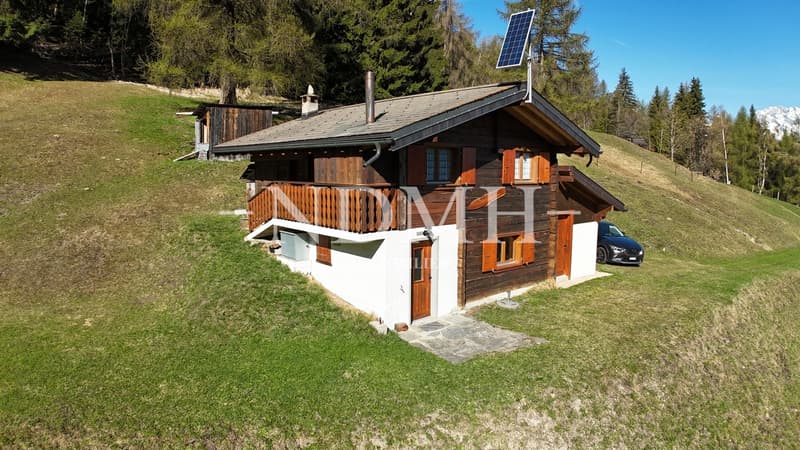 Exceptional Mayen - an alpine refuge in nature (9)