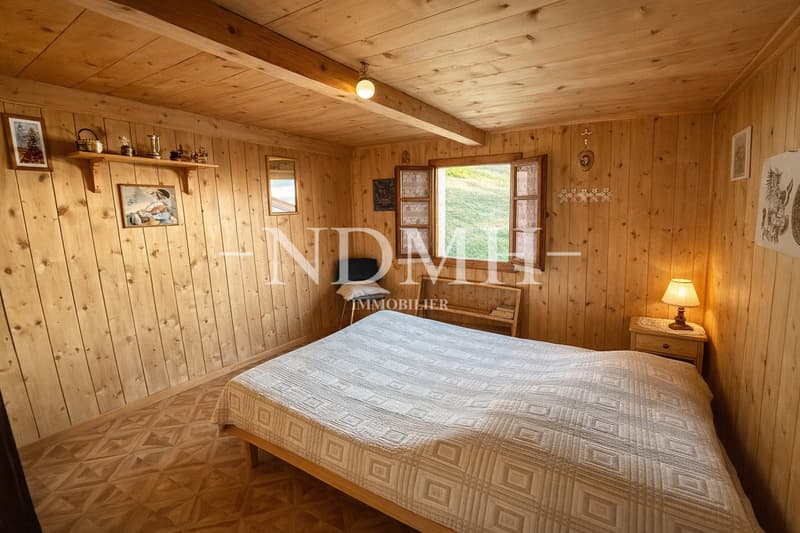 Exceptional Mayen - an alpine refuge in nature (5)