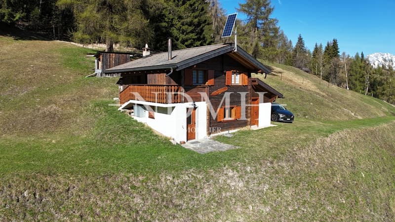 Exceptional Mayen - an alpine refuge in nature (1)