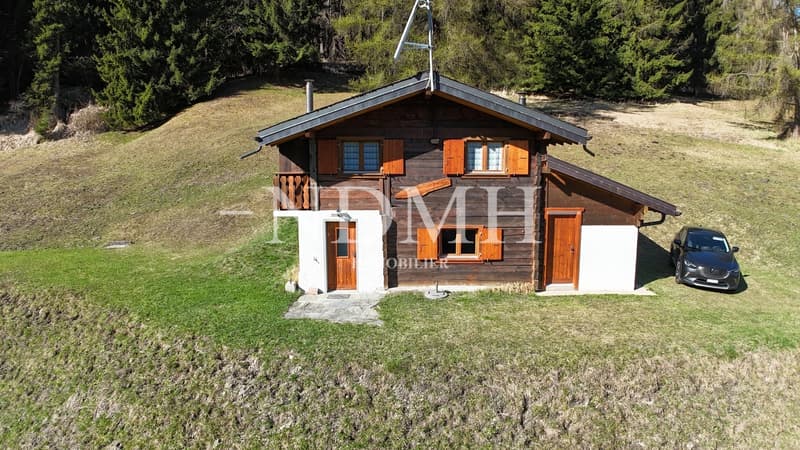 Exceptional Mayen - an alpine refuge in nature (8)