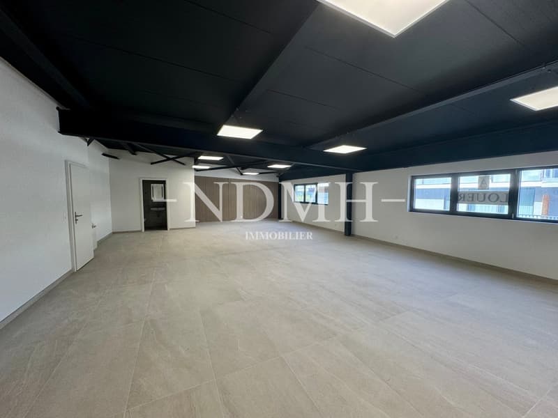 Bright and modular professional space in business area (2)