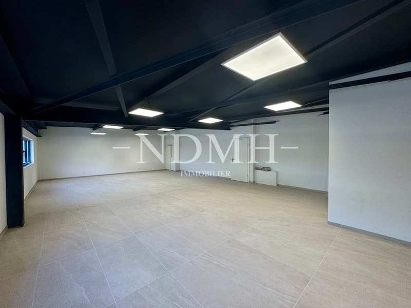 Bright and modular professional space in business area (4)