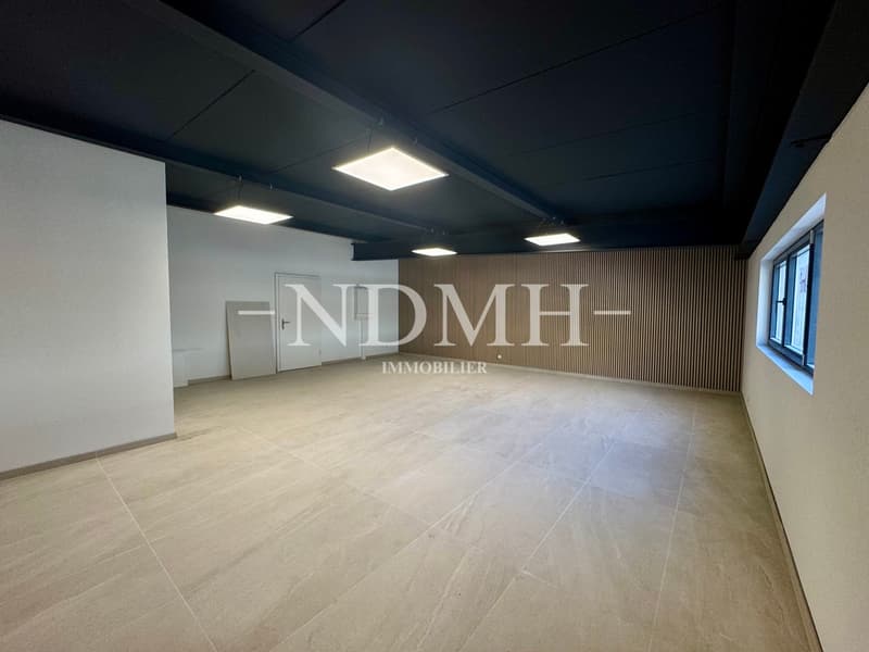 Bright and modular professional space in business area (3)