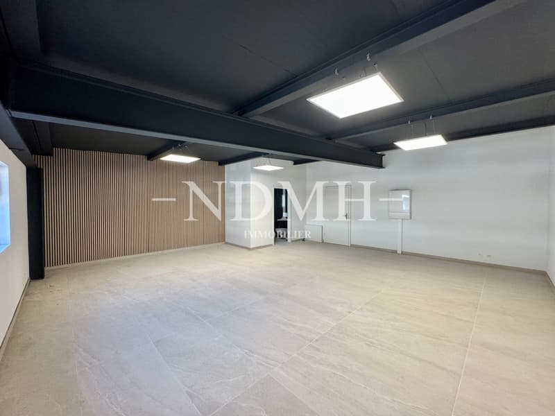 Bright and modular professional space in business area (1)