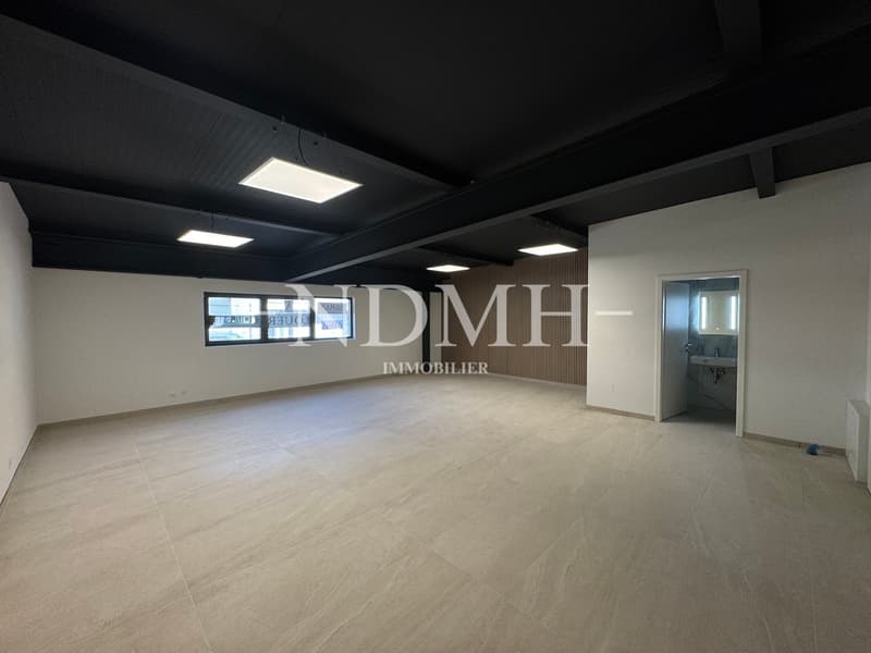 Bright and modular professional space in business area (3)