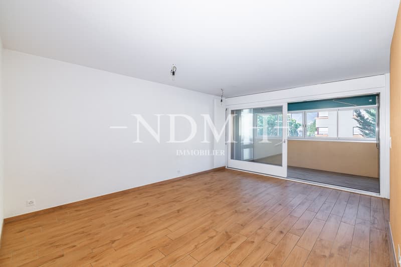 Appartement familial rénové à proximité du centre-ville (5)