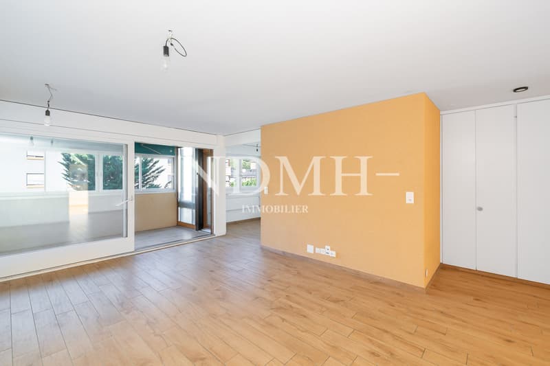 Appartement familial rénové à proximité du centre-ville (2)