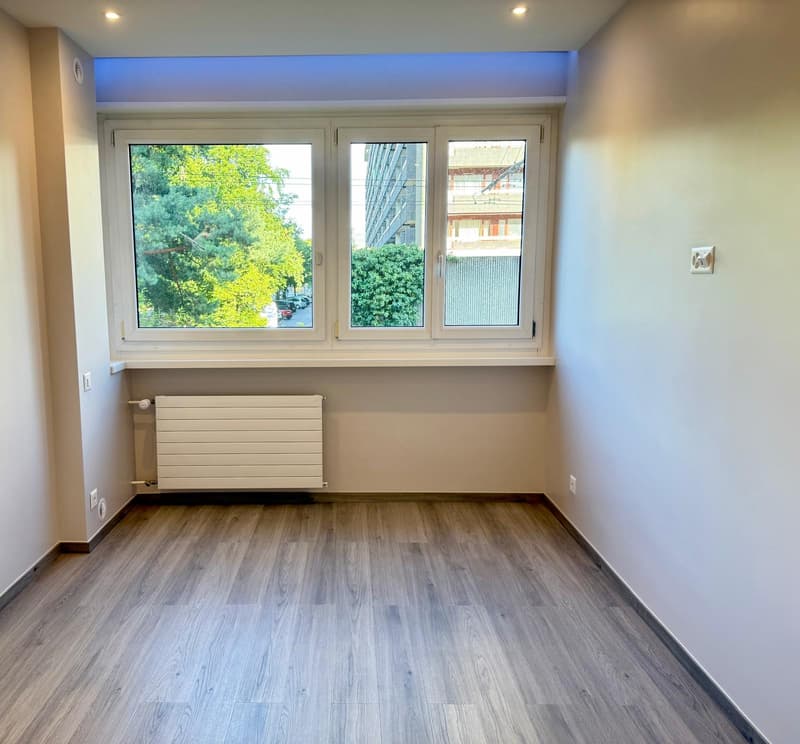 Appartement rénové de 4 chambres à Petit-Saconnex ? Proche des organisations internationales (10)