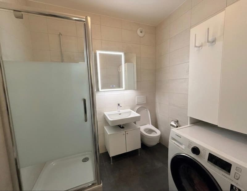 Appartement moderne de 4 pièces aux portes de Genève - Meyrin (10)