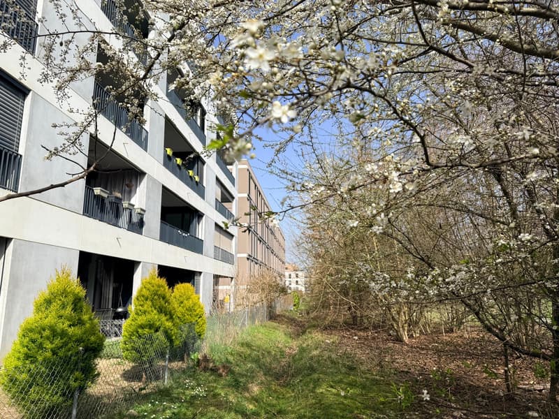 Appartement moderne de 4 pièces aux portes de Genève - Meyrin (1)