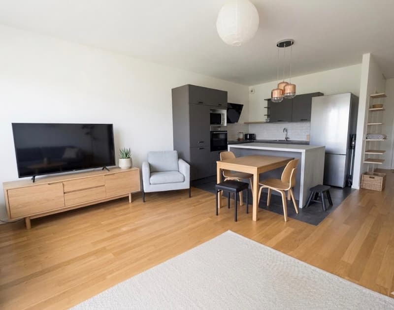 Appartement moderne de 4 pièces aux portes de Genève - Meyrin (4)