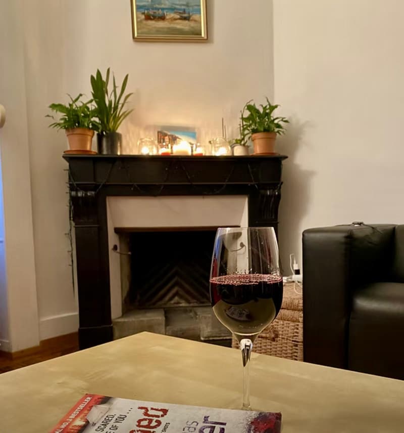 Charmant appartement rénové d'une chambre à Paquis Navigation (3)