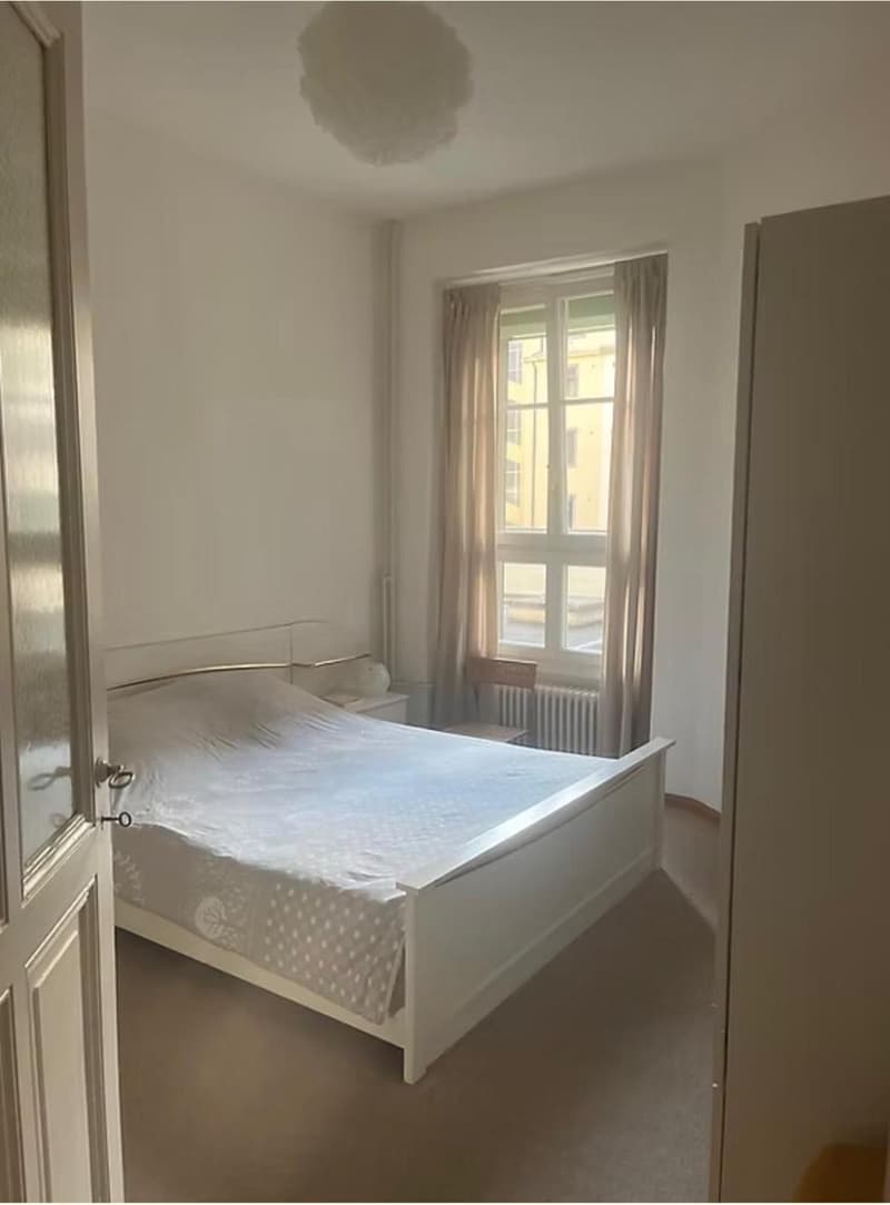 Charmant appartement rénové d'une chambre à Paquis Navigation (2)