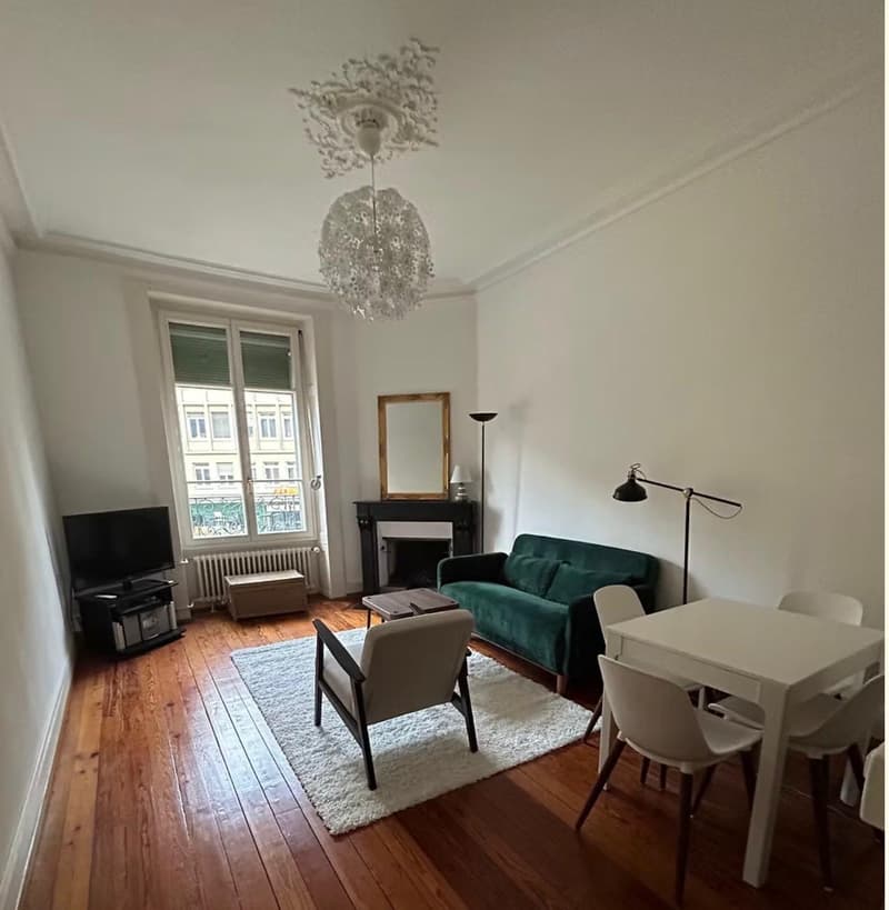Charmant appartement rénové d'une chambre à Paquis Navigation (1)