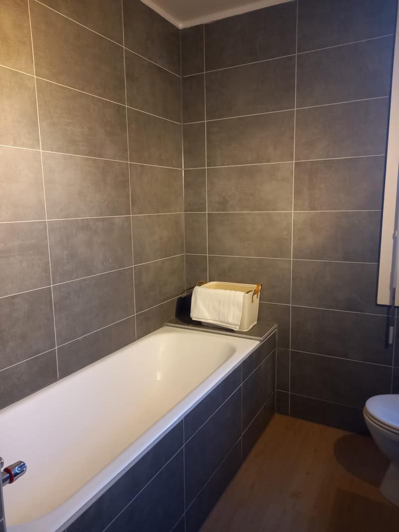 Spacieux appartement de 6 pièces avec une vue panoramique sur le Jura (12)