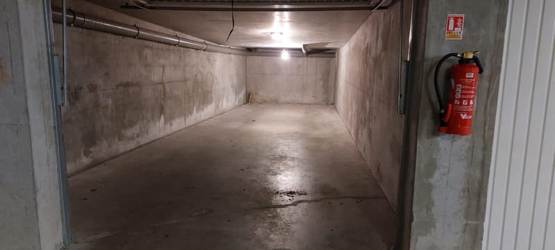 Garage double à louer ? Proche centre-ville de Ferney-Voltaire (3)