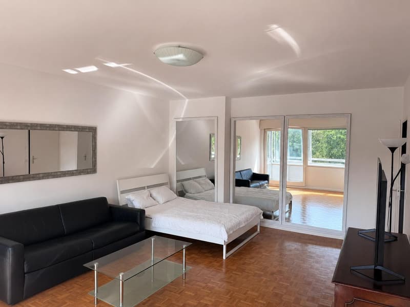 Charmant Studio Meublé de 50m² Proche de l'Ecolint (4)