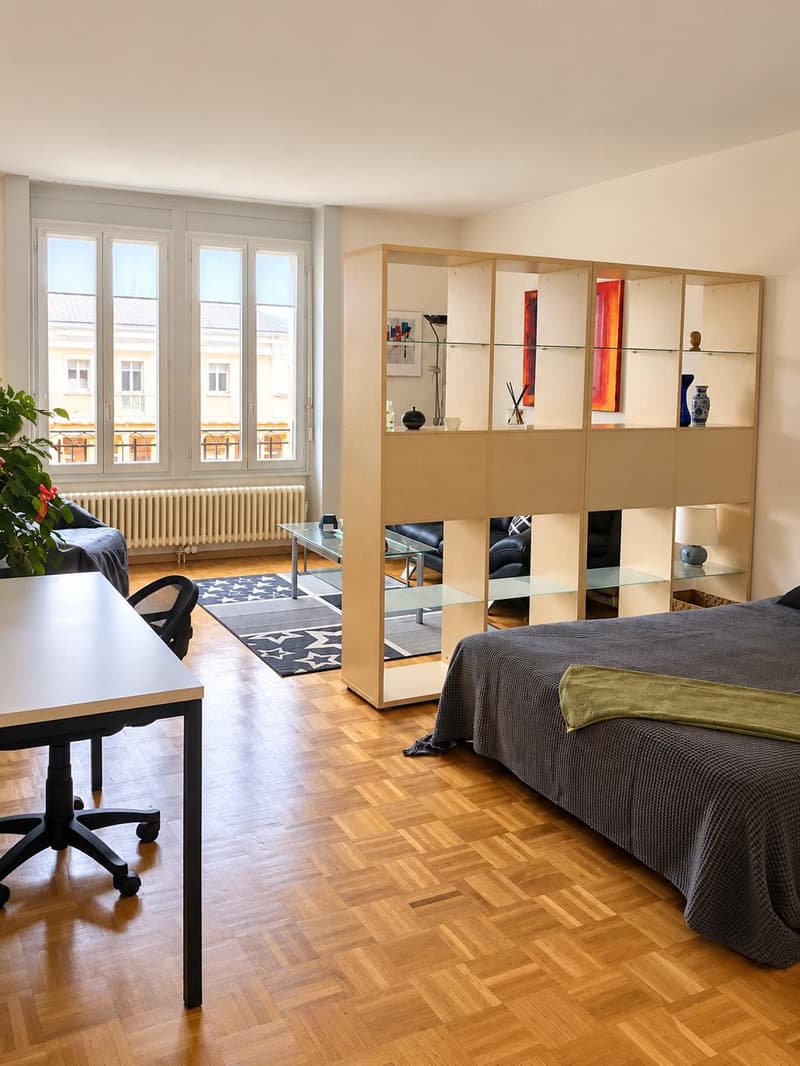 Charmant appartement meublé de 2,5 pièces (2)