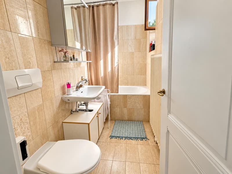 Charmant appartement meublé de 2,5 pièces (3)