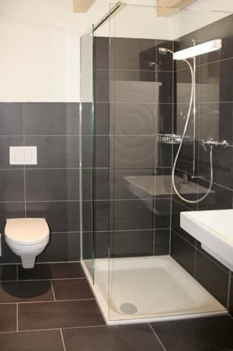 Affascinante loft di 1,5 locali con galleria a Kleinandelfingen (5)